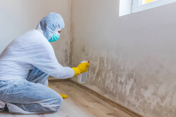 Commercial Mold Remediation assessment for commercial property in Bryantown